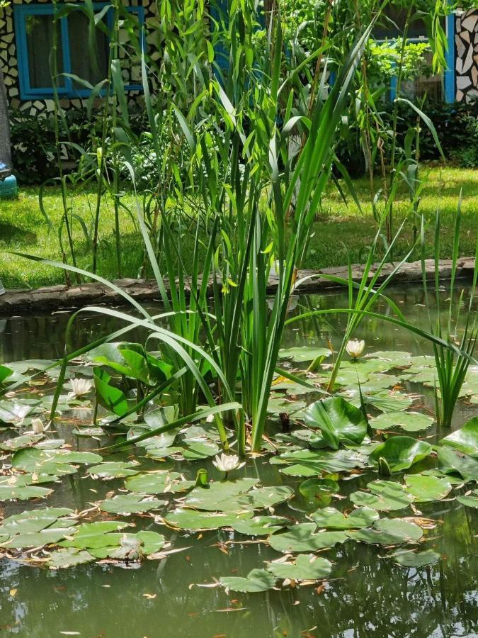 Pensiunea Iubire De Delta " La Traian " Murighiol Exteriér fotografie