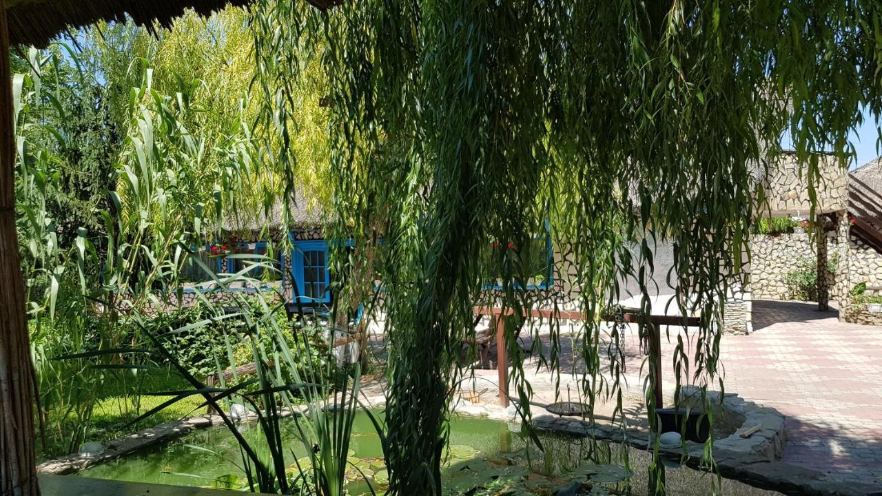 Pensiunea Iubire De Delta " La Traian " Murighiol Exteriér fotografie