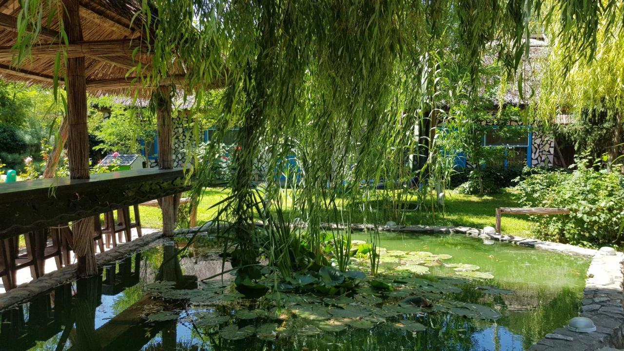 Pensiunea Iubire De Delta " La Traian " Murighiol Exteriér fotografie